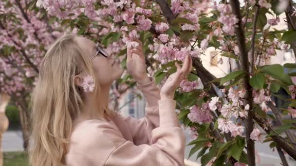 Жінка Блондинка Японському Фестивалі Насолоджується Цвітінням Рожевої Японської Вишні Середній — стокове відео
