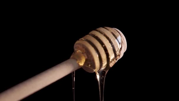 Palillo de miel sobre fondo negro — Vídeo de stock