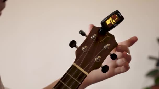 Montando Instrumento Musical Ukulele Quatro Cordas Casa Filmagem Close Sem — Vídeo de Stock