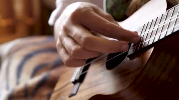 Close Instrumento Musical Quatro Cordas Que Músico Toca Filmagem Filmada — Vídeo de Stock