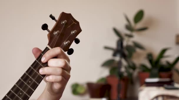 Close Ukulele Fingerboard Instrumento Musical Quatro Cordas Tocado Por Músico — Vídeo de Stock