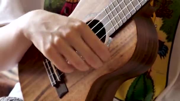 Gros Plan Instrument Musique Quatre Cordes Sur Lequel Joue Musicien — Video