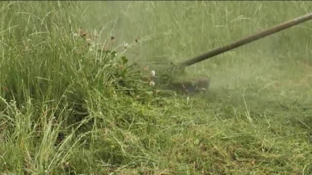 Närbild Bensingräsklippare Medan Arbetar Slow Motion Klippa Grönt Gräs Sommaren — Stockvideo