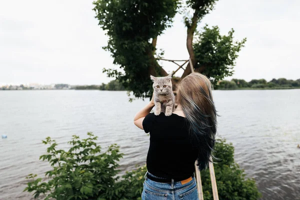一个蓝色头发的女孩站在树旁 抱着一只3个月大的苏格兰直毛猫 这只猫看着摄像机高质量的照片 — 图库照片