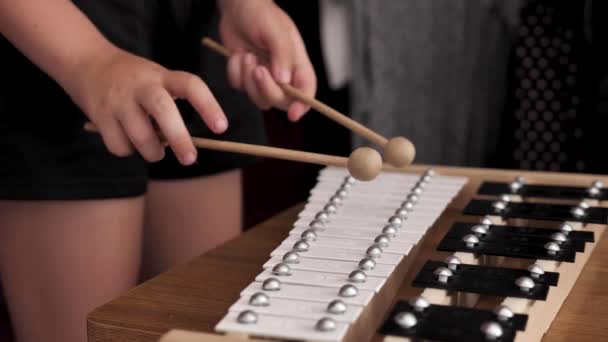 Close Van Een Percussie Muziekinstrument Een Metallofoon Een Man Speelt — Stockvideo