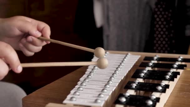 Gros Plan Instrument Musique Percussion Métallophone Homme Joue Dessus Sans — Video