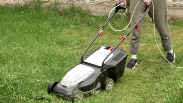 Een kleine jongen in een groen veld — Stockvideo