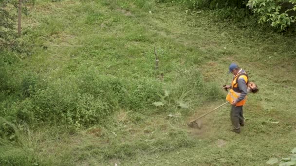 Мужчина стрижет газон газонокосилкой — стоковое видео