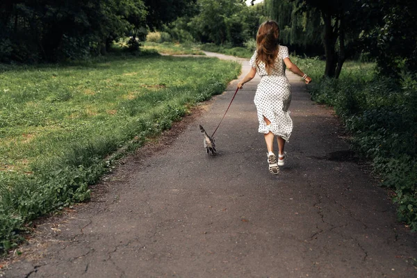 Μια Νεαρή Ξανθιά Γυναίκα Τρέχει Μια Γάτα Λουρί Στο Δρόμο — Φωτογραφία Αρχείου