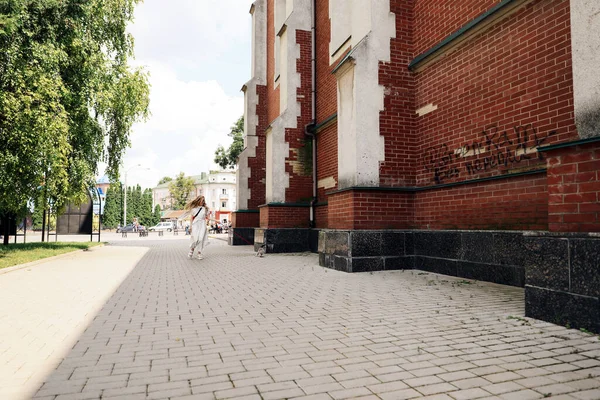 Woman walks with a cat in the city — Stock Photo, Image