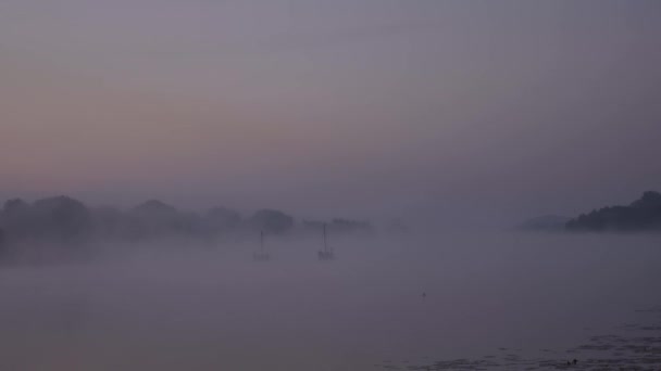 Mlhavé ráno za úsvitu — Stock video
