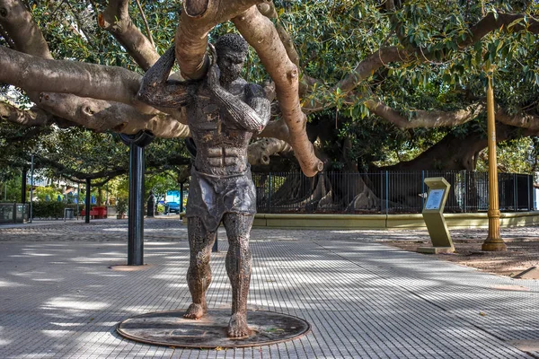 ağaç tarihi patrimony buenos aires adam heykeli
