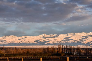 Dağdaki üzüm bağları, Mendoza
