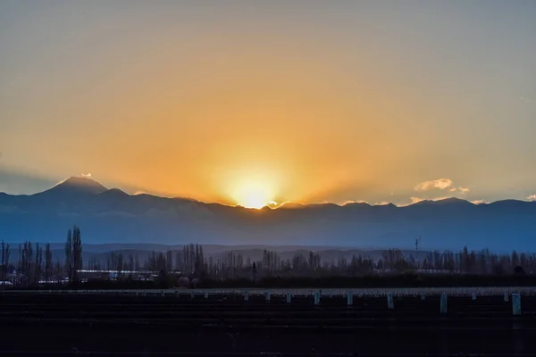 Dağdaki üzüm bağları, Mendoza