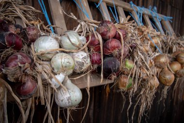 farklı renklerde soğan bir çerçeve üzerinde asılı