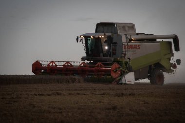Solnice/Çek Cumhuriyeti - 11 Ağustos 2019 - Gün batımında tahıl hasat makinesi sırasında hasat çırçısı Claas Lexion 460'ı birleştirin