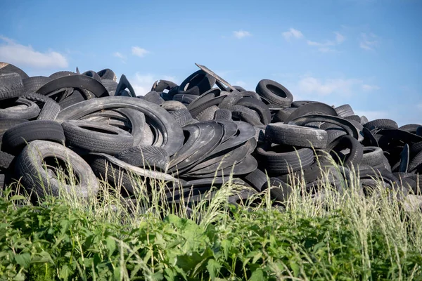Neumáticos viejos en el vertedero con hierba y cielo azul —  Fotos de Stock