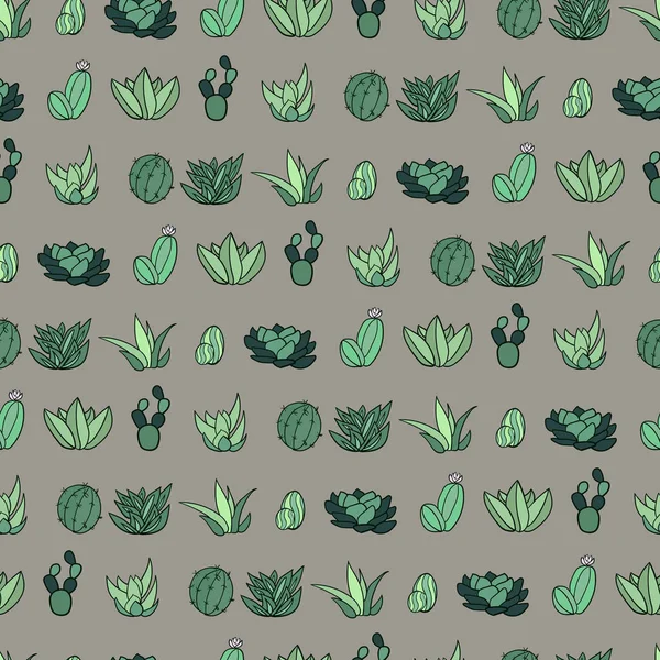 Divers Succulents Vecteur Motif Sans Couture — Image vectorielle