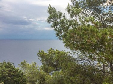 İspanya 'nın Cala Llonga adasında yaz akşamları sakin deniz manzaralı güzel Akdeniz çamı