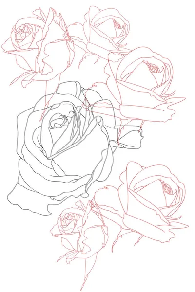 Квіткові Чорні Троянди Ізольовані Білому Тлі — стоковий вектор