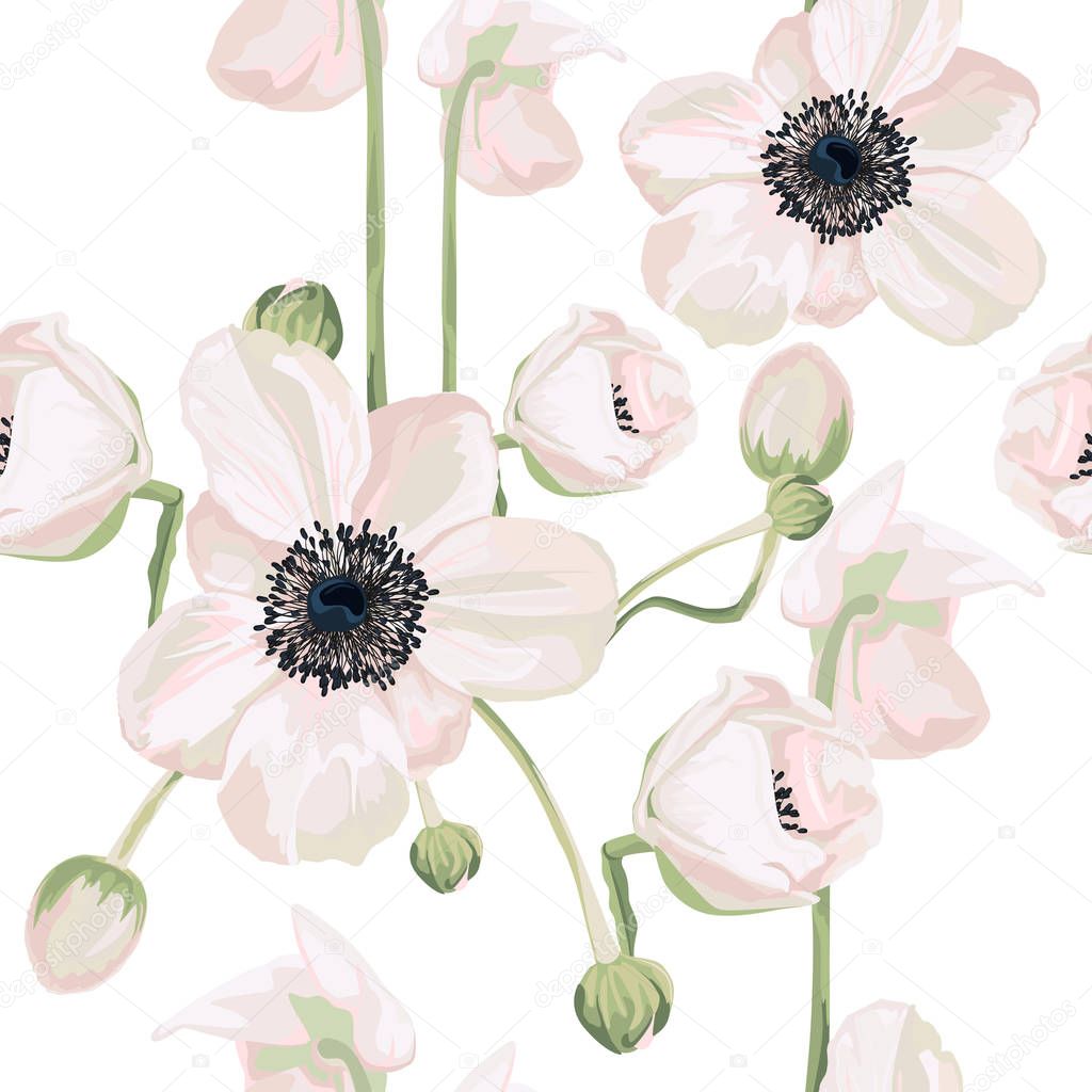 Seamless pattern Vector floral watercolor style design: garden powder white pink Anemone flower. Rustic romantic background print. Good for wedding invitation, greeting card. 