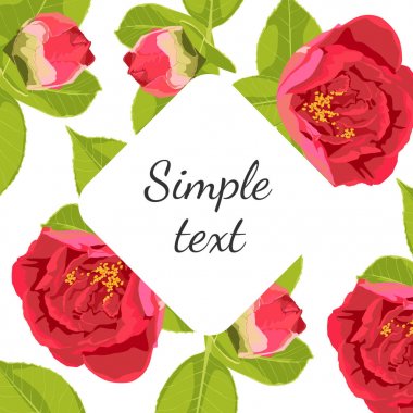 Bahar yaz çiçekleri çerçeve - çiçek arka plan - tasarım, baskı, tekstil, defter için desen - vektör. Beyaz fon. Basit metin. 