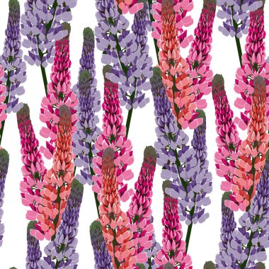 Yaz bahar vahşi lupines pembe, menekşe, kırmızı ve sarı çiçekler. Beyaz arka plan. Dikişsiz çiçek deseni. Tekstil deseni. Çiçek tarlası. 