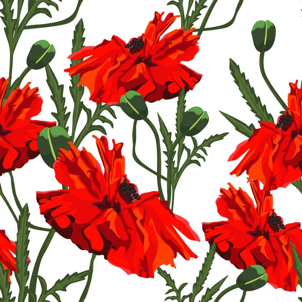 Векторные Красивые Красные Маки Цветы Бесшовный Узор Дизайн Пригласительных Открыток — стоковый вектор
