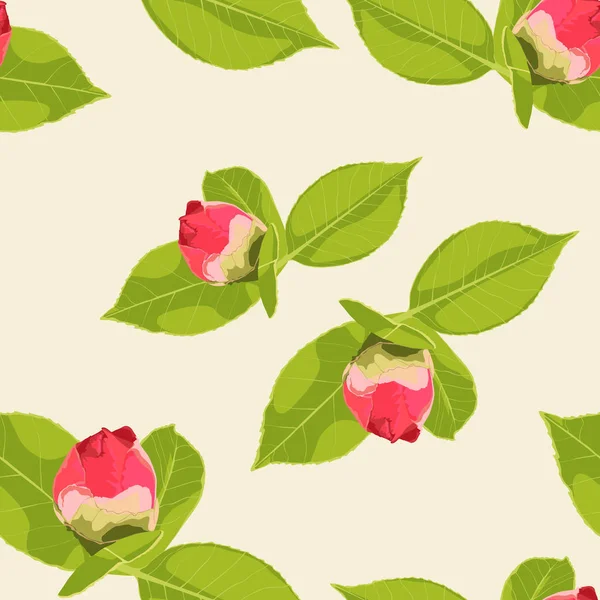 Tavaszi Nyári Virágzik Gyönyörű Háttér Virágzó Retro Virágok Rózsaszín Piros — ingyenes stock fotók