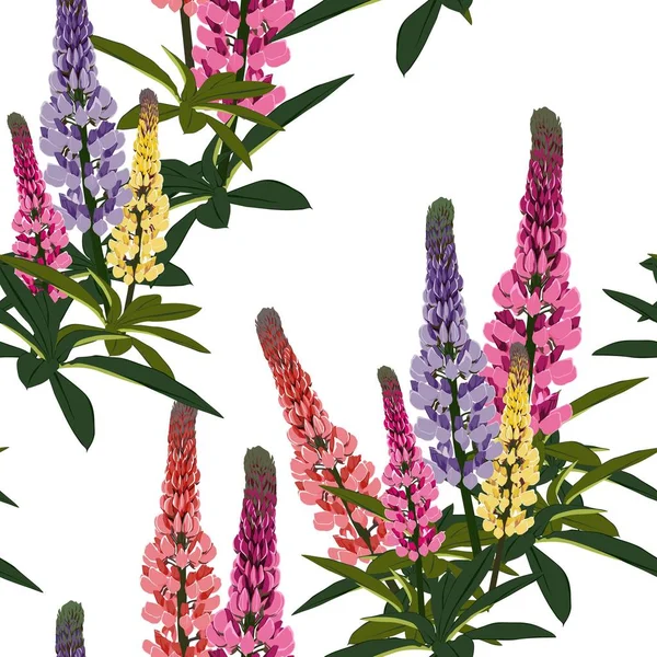 Verão Primavera Lupine Selvagem Rosa Flores Violetas Amarelas Com Folhas — Vetor de Stock