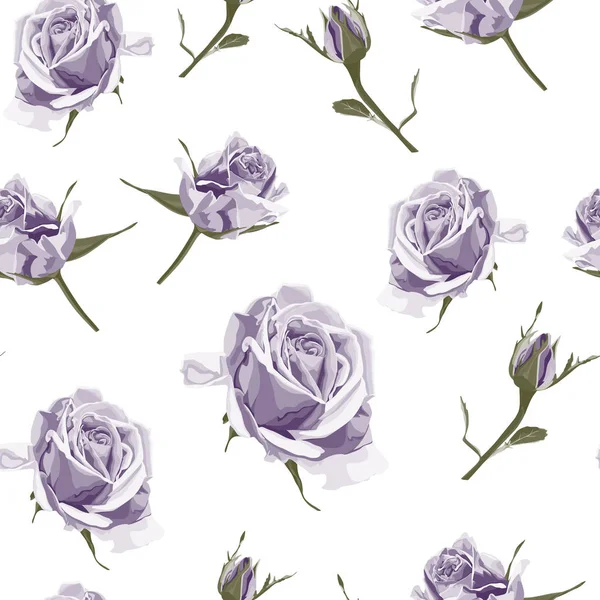 Nahtloser Muster Vektor Florales Aquarell Design Violette Rosen Und Knospe — Stockvektor