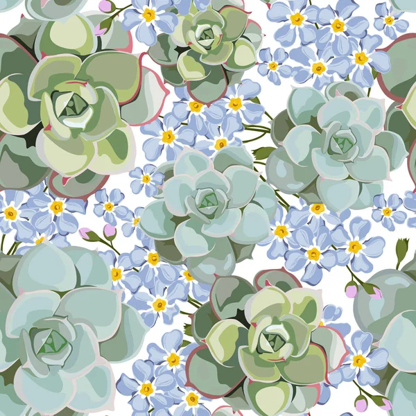 Vecteur Fleur Printemps Motif Sans Couture Avec Succulents Oublier Moi — Image vectorielle