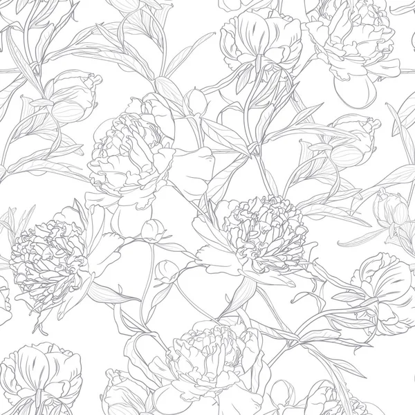 Vektör Beyaz Şakayık Çiçekler Dikişsiz Desen Çizim Illüstrasyon Çizilmiş Çiçek — Stok Vektör