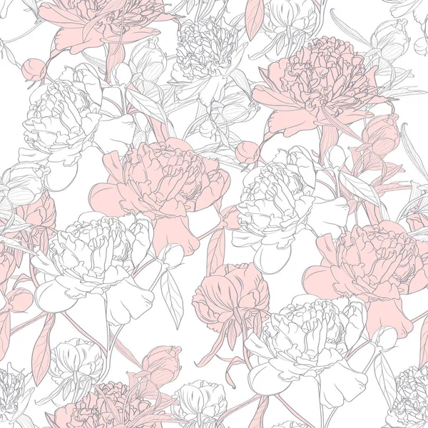 Vector Hand Getekende Schets Illustratie Van Roze Witte Pioen Bloemen — Stockvector