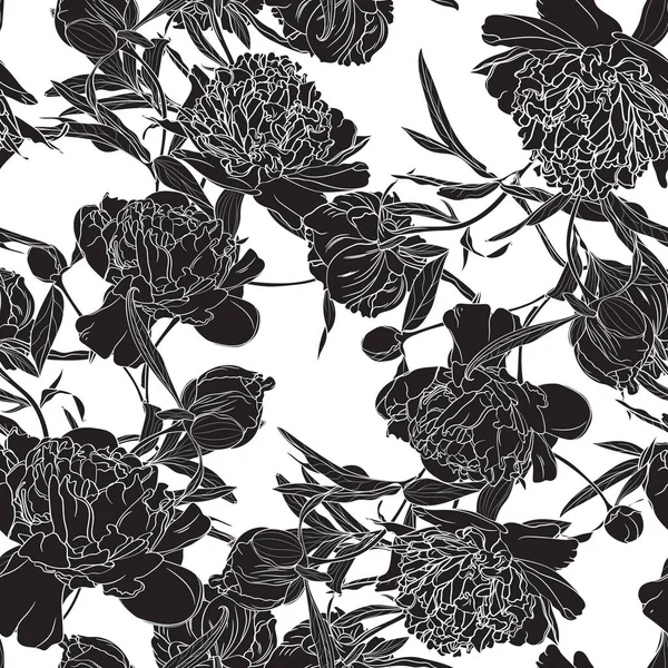 Modèle Vectoriel Avec Pivoines Noires Fond Blanc — Image vectorielle