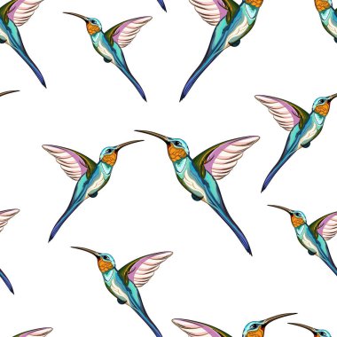 Mırıldayan kuşlar. Kusursuz egzotik tropikal uğultulu kuş deseni. El çizimi çizimi. Beyaz arkaplan. 