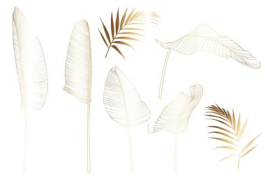 Altın Tropikal Palmiye Muz Ağaç Yaprakları beyaz arka plan üzerinde izole. Palm Leaf Sketch, egzotik çizimler, çiçek elemanları izole, tebrik kartı, düğün, duvar kağıdı için Hawaii buketi.