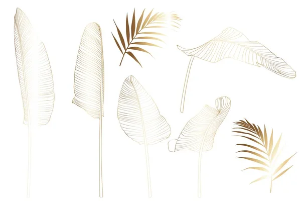 Goldene Tropische Bananenblätter Auf Weißem Hintergrund Palmblatt Skizze Exotische Illustrationen — Stockvektor