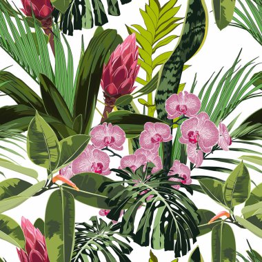 Tropikal egzotik yaprakları ve çiçek birçok tür ile Dikişsiz desen. Parlak yeşil palmiye monstera beyaz arka plan üzerinde bırakır. Tropikal illüstrasyon. 