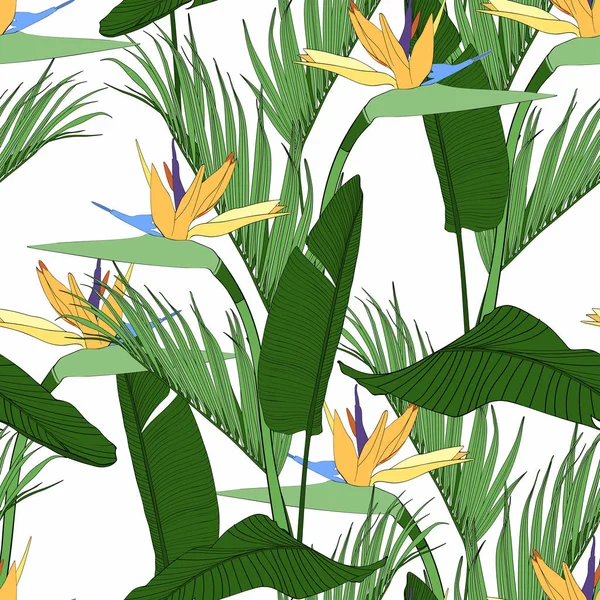 Beyaz Bir Arka Plan Üzerinde Palmiye Ağaçları Çiçek Cennet Kuşu — Stok Vektör