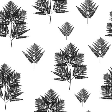 Eğrelti otu yaprakları ile Tropik yaz boyama dikişsiz vektör deseni