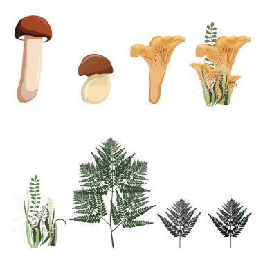 Sonbahar vektör seti. El sonbahar renkli mantar ve orman otlar çizmek. 