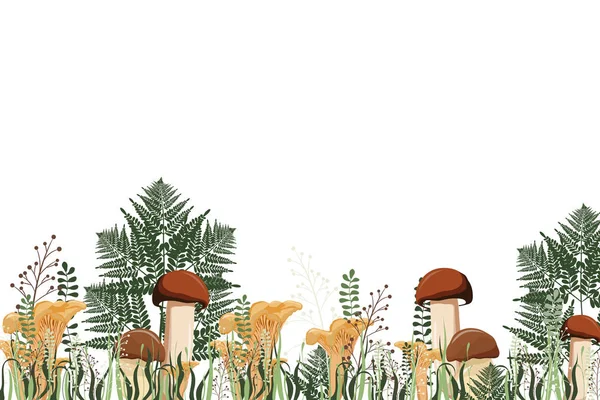 Autumn Background Mushrooms Herbs Vector Illustration Grass Mushroom Border — Stock Vector