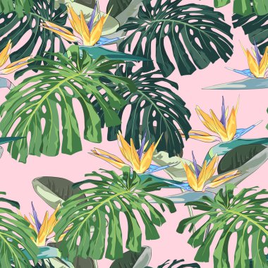 Orman bitkileri ile karanlık ve parlak tropikal yaprakları. Yeşil palmiye ve monstera yaprakları ve kırmızı strelitzia çiçekleri ile Dikişsiz vektör tropikal desen. Pembe arka plan. 