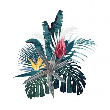 Tropikal çiçekler, palmiye canavarı ve muz yaprakları, ebegümeci ve protea çiçeği. Vektör egzotik illüstrasyonlar, çiçek elemanları izole, tebrik kartı, düğün, duvar kağıdı için Hawaii buketi. 