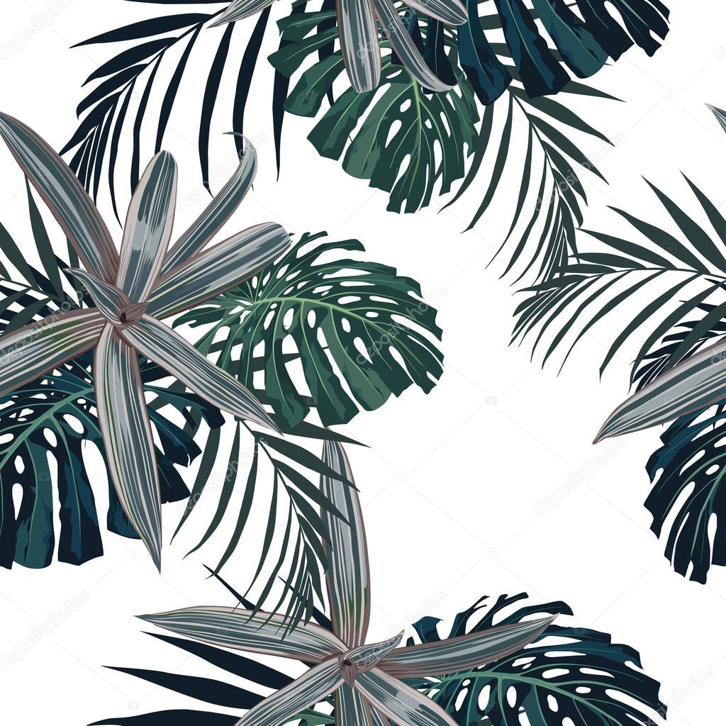 Exotic tropical jungle plants. Seamless vector tropical pattern with darck palm and monstera leaves. White background.