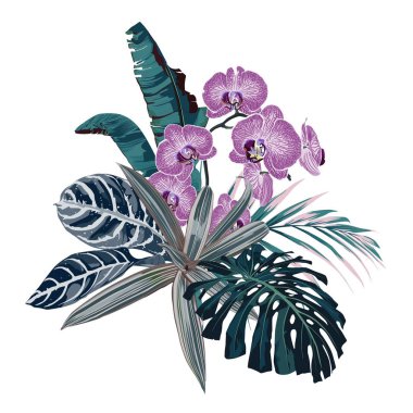 güzel yaz tropikal çiçek desen arka plan vektör illüstrasyon