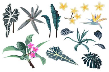 güzel çiçekler desen arka plan vektör illüstrasyon