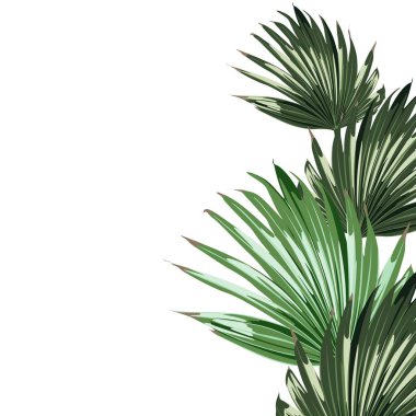 güzel yaz tropikal çiçek desen arka plan vektör illüstrasyon