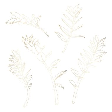 güzel yaz tropikal çiçek desen arka plan vektör illüstrasyon